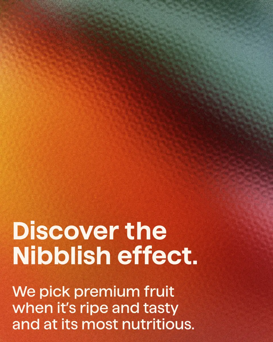 Nibblish poster “Discover the Nibblish effect” on a red and orange gradient